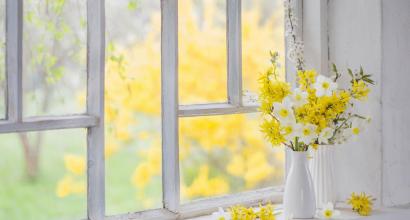 lente