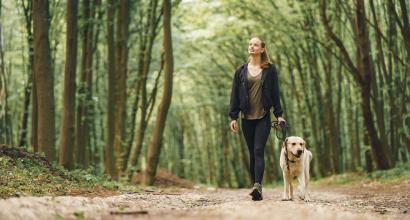 wandeling