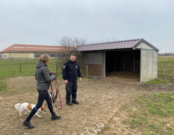 paardenweide paardenweide