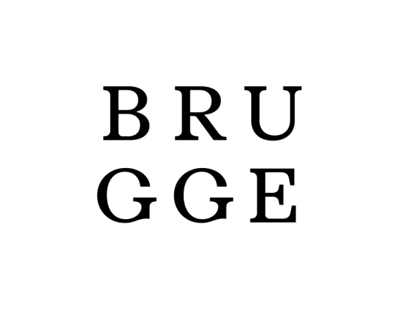logo stad brugge 